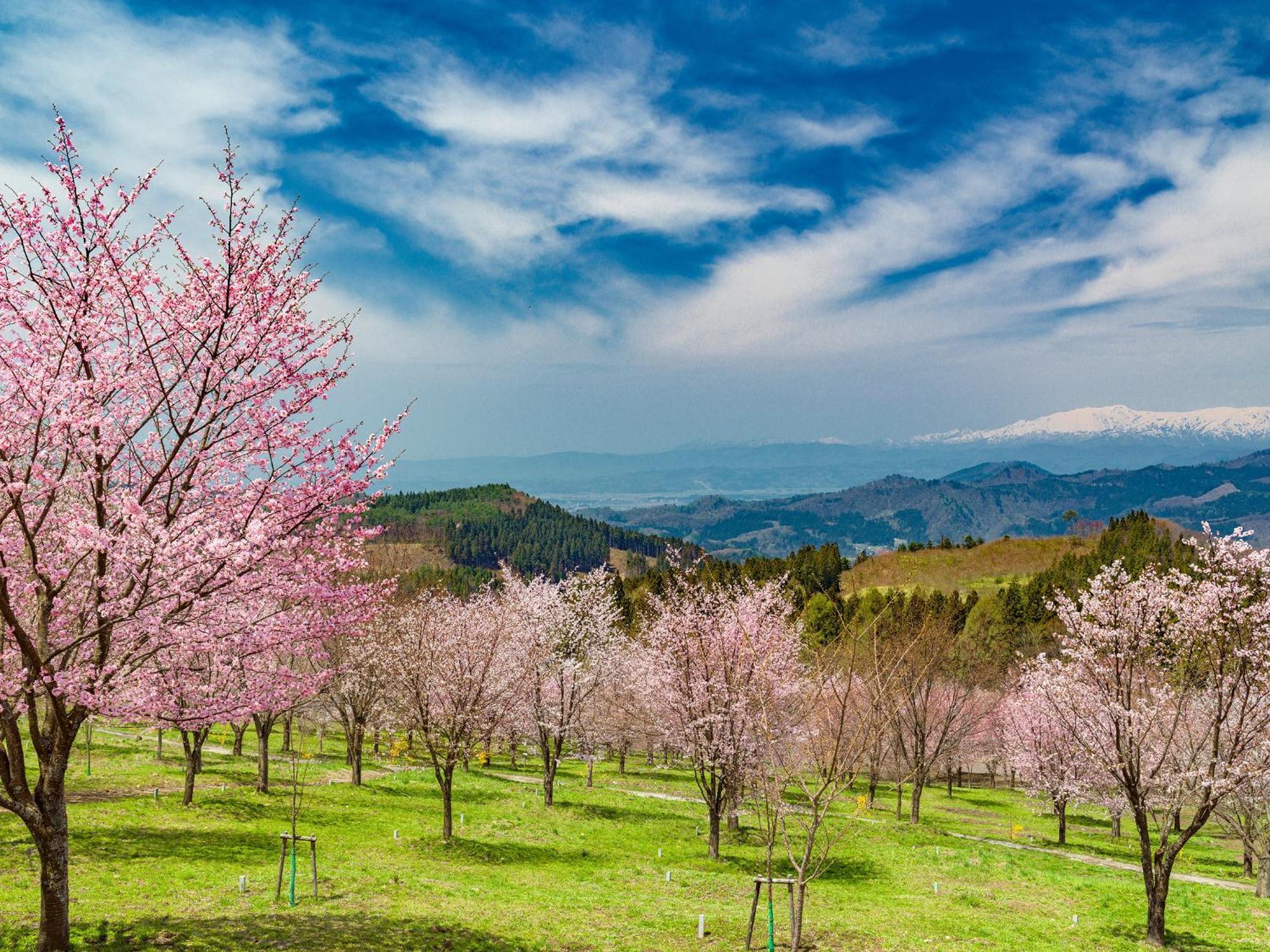 Urabandai Lake Resort Geihinkan Nekoma Rikyu Kitashiobara Екстер'єр фото