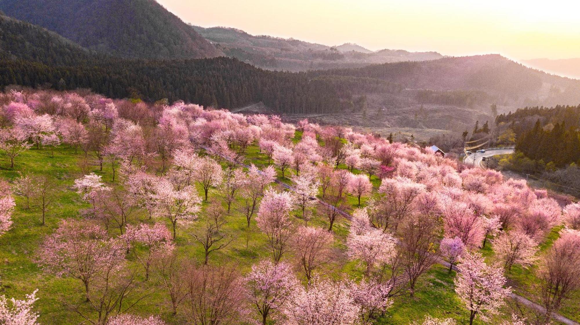 Urabandai Lake Resort Geihinkan Nekoma Rikyu Kitashiobara Екстер'єр фото